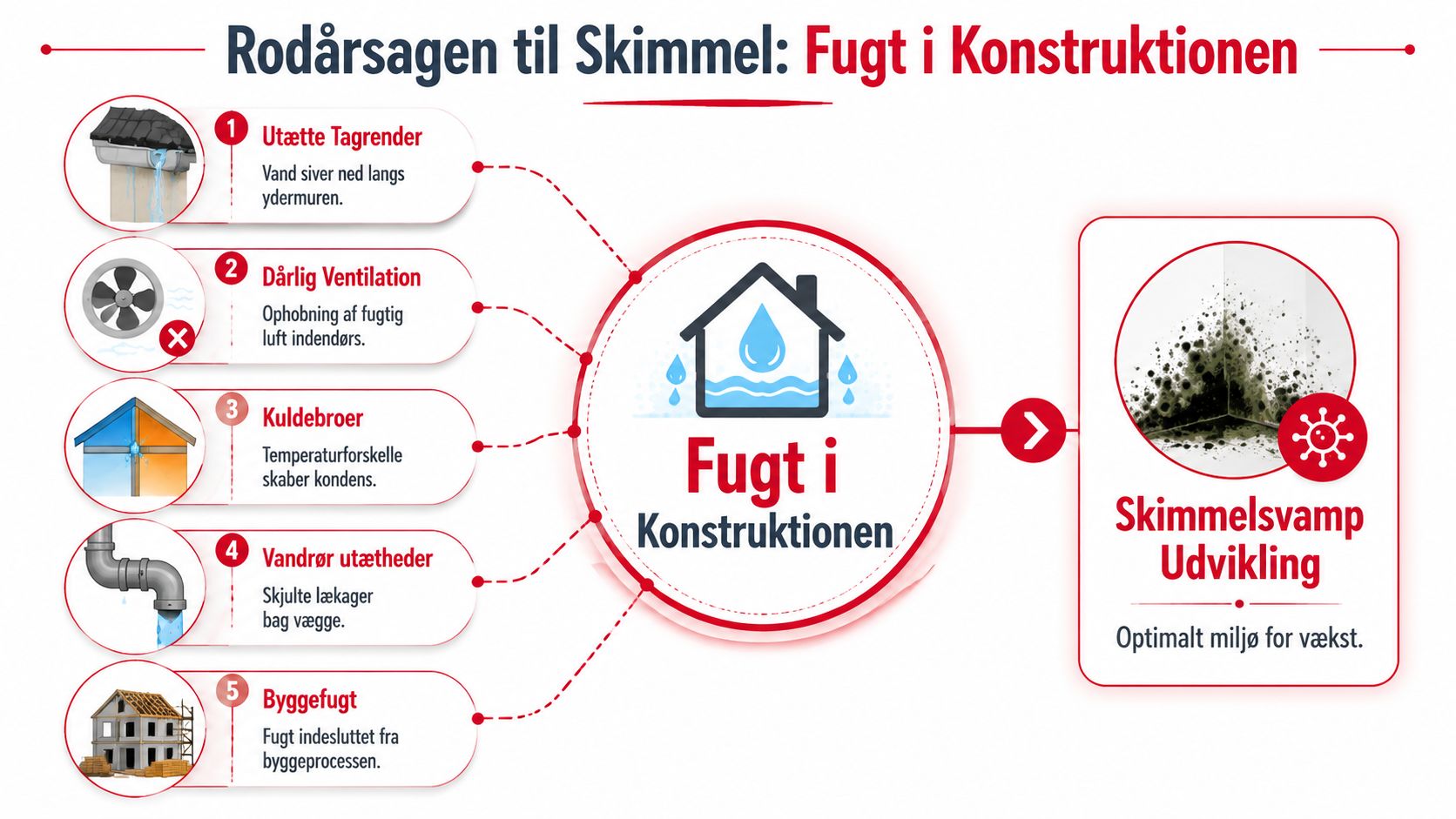 Infografik der viser fem almindelige årsager til skimmelsvamp forårsaget af fugt i bygningskonstruktioner og boliger.
