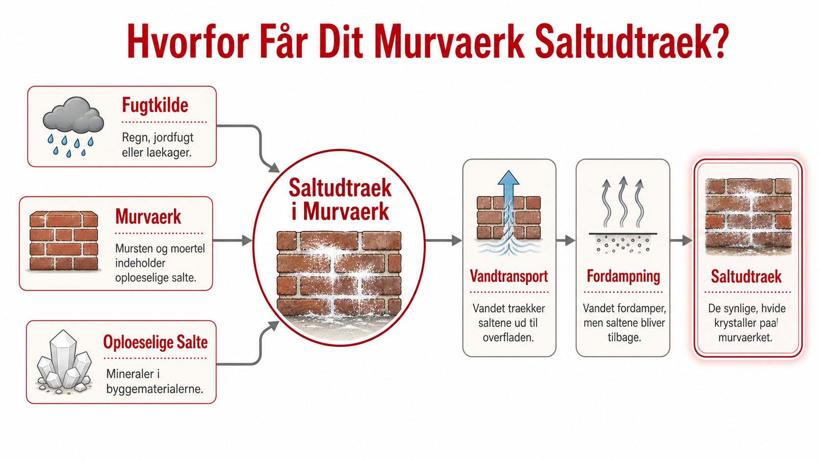 En infografik der forklarer årsagen til saltudtræk i murværk gennem fugt, materialer og fordampningsprocesser.