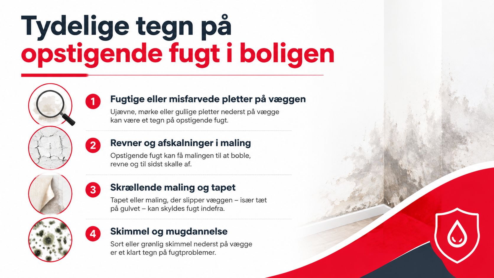 En infografik der viser fire tydelige tegn på opstigende fugt i vægge i en bolig.